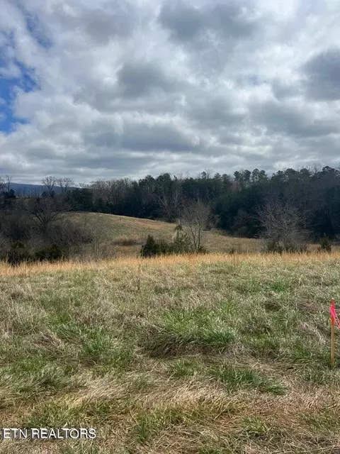 0 Bogard Rd, Newport, TN 37821