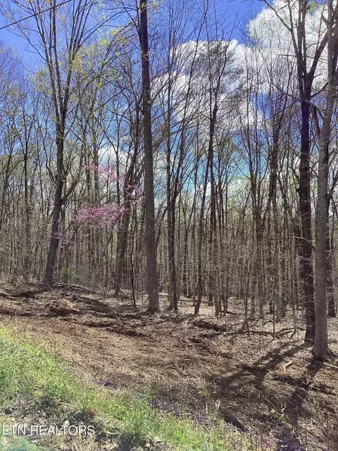 123 Norris Shores Drive, Sharps Chapel, TN 37866