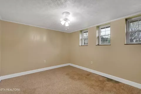 1107 Plum Ct, Talbott, TN 37877 photo 21
