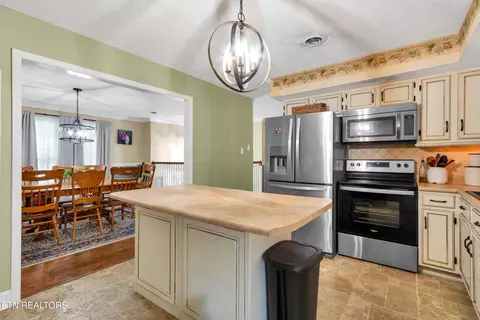 1107 Plum Ct, Talbott, TN 37877 photo 11