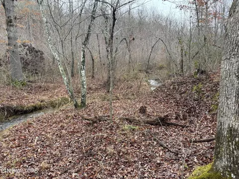 Highway 27, Sunbright, TN 37872 photo 2