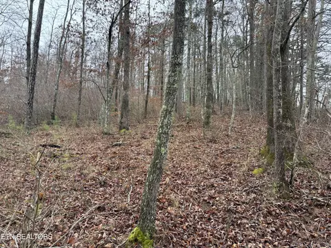 Highway 27, Sunbright, TN 37872 photo 3