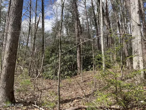 1 5 Ac Hwy 68, Tellico Plains, TN 37385