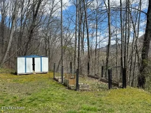 View/Area - 50 Conley Hill Rd, Bledsoe, KY 40810 photo 3 of 3