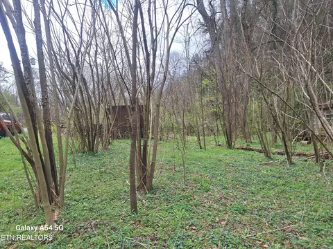428 Lovers Ln, Townsend, TN 37882