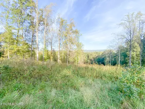 344 Eagle Ridge Dr, Rockwood, TN 37854