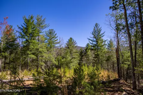 2 42 Smithfield Rd, Tellico Plains, TN 37385