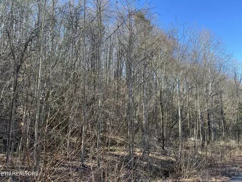 1441 Blue Springs Way, Newport, TN 37821