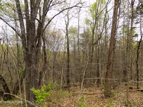 Par 067.03 Alpha Rd, Newport, TN 37821