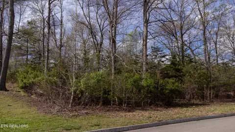 Lot 40 Lindsey Lane, Jefferson City, TN 37760