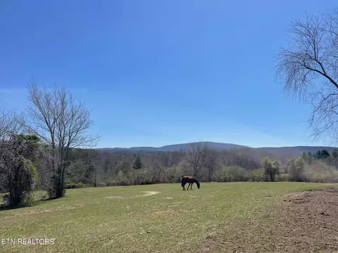 Open Range 6.43 Ac Rd, Crossville, TN 38555