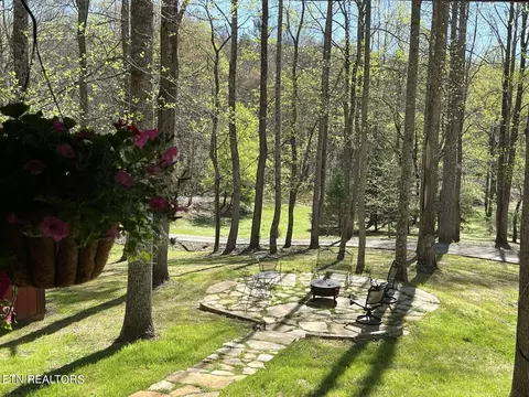 View/Area - 570 Farner Rd, Farner, TN 37333 photo 2 of 3