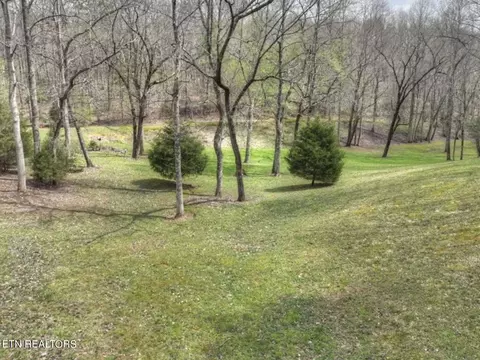 View/Area - 570 Farner Rd, Farner, TN 37333 photo 3 of 3