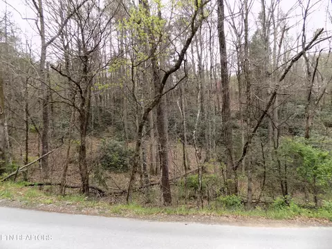 lot11 Deerfoot Rd, Cosby, TN 37722