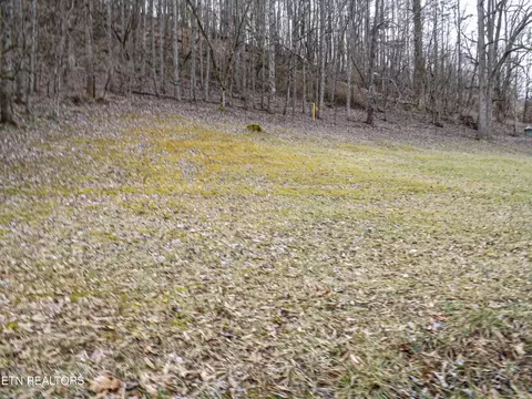 Exterior - 117 Black Diamond Dr, Ewing, VA 24248 photo 7 of 8