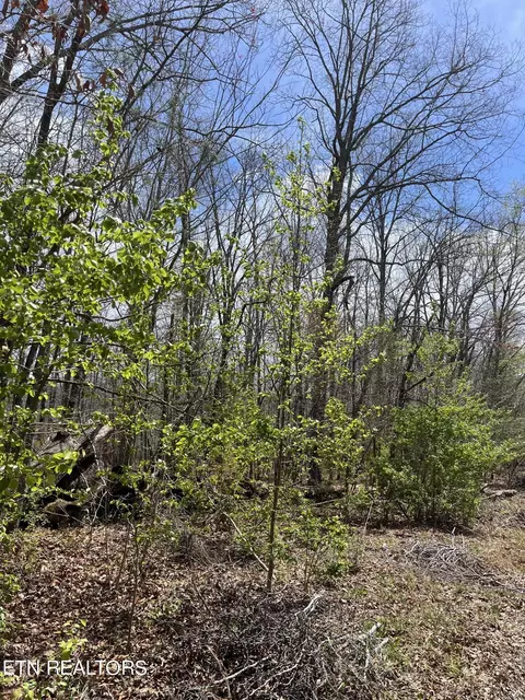 Peachtree Drive, Crossville, TN 38555
