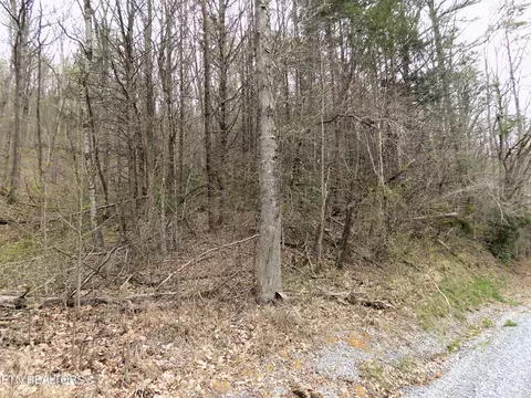 lot188 Deerfoot Rd, Cosby, TN 37722
