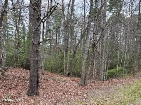 Lot 13 Flats Rd, Tallassee, TN 37878