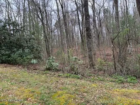 Lot 14 Flats Rd, Tallassee, TN 37878