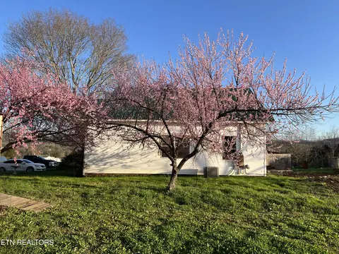 874 Smokey Rd, Rutledge, TN 37861 photo 5