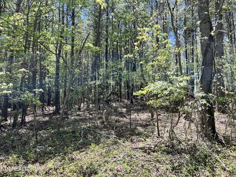 0000 Old Hickory Flat Rd, Decatur, TN 37322
