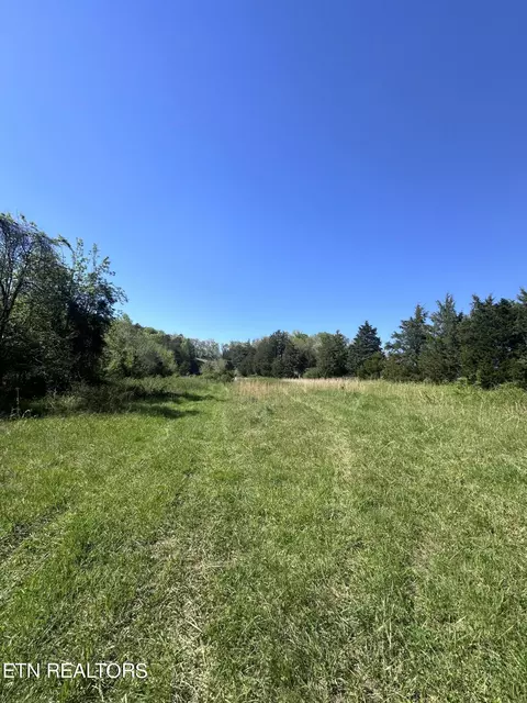 S Fork Branch Rd, Rogersville, TN 37857