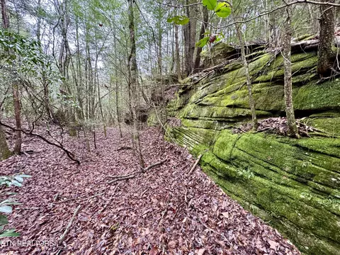 John Nitzscheke Rd, Sunbright, TN 37872 photo 37