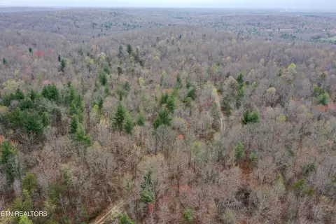 John Nitzscheke Rd, Sunbright, TN 37872 photo 59