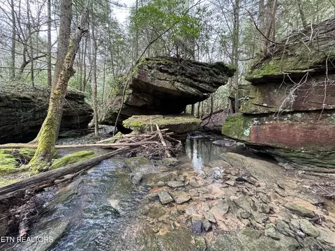 John Nitzscheke Rd, Sunbright, TN 37872 photo 4