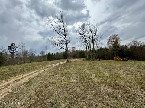 John Nitzscheke Rd, Sunbright, TN 37872 photo 16