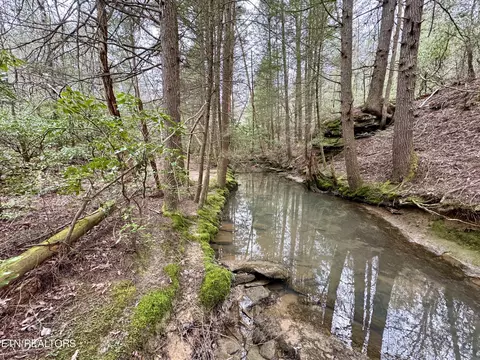 John Nitzscheke Rd, Sunbright, TN 37872 photo 29