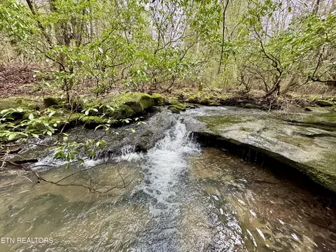 John Nitzscheke Rd, Sunbright, TN 37872 photo 31