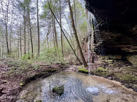 John Nitzscheke Rd, Sunbright, TN 37872 photo 36