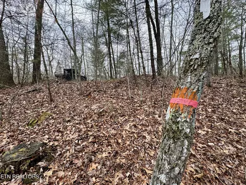 John Nitzscheke Rd, Sunbright, TN 37872 photo 25