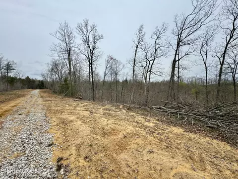 John Nitzscheke Rd, Sunbright, TN 37872 photo 41