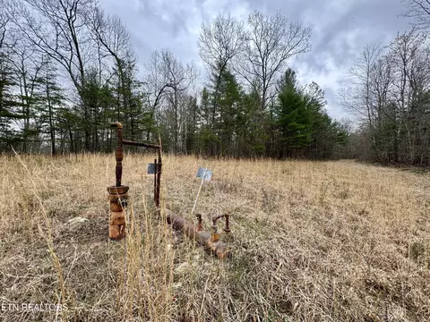John Nitzscheke Rd, Sunbright, TN 37872 photo 27