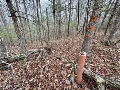John Nitzscheke Rd, Sunbright, TN 37872 photo 24