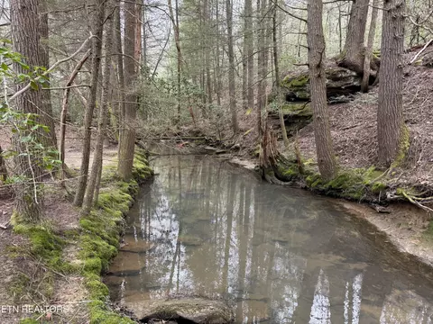 John Nitzscheke Rd, Sunbright, TN 37872 photo 28