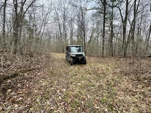 John Nitzscheke Rd, Sunbright, TN 37872 photo 45