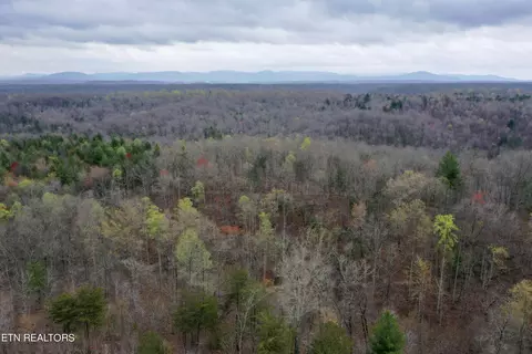 John Nitzscheke Rd, Sunbright, TN 37872 photo 53