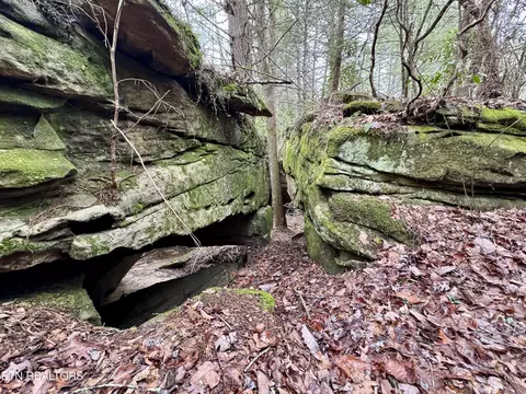 John Nitzscheke Rd, Sunbright, TN 37872 photo 38