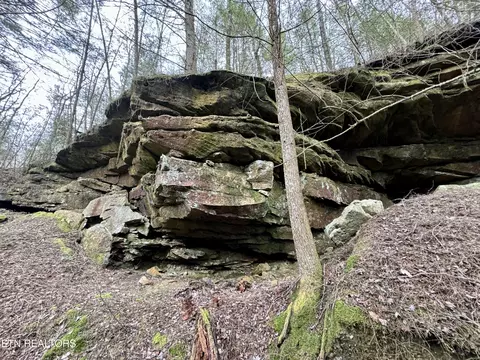 John Nitzscheke Rd, Sunbright, TN 37872 photo 33