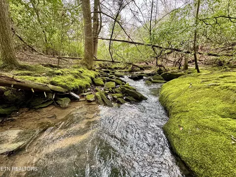John Nitzscheke Rd, Sunbright, TN 37872 photo 30