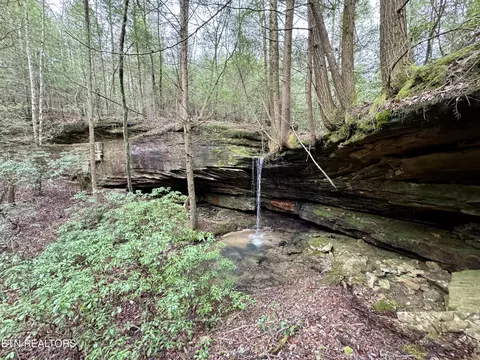 John Nitzscheke Rd, Sunbright, TN 37872 photo 35