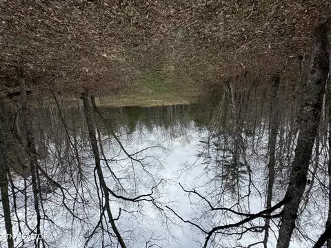 John Nitzscheke Rd, Sunbright, TN 37872 photo 47