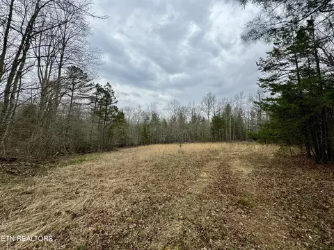 John Nitzscheke Rd, Sunbright, TN 37872 photo 26