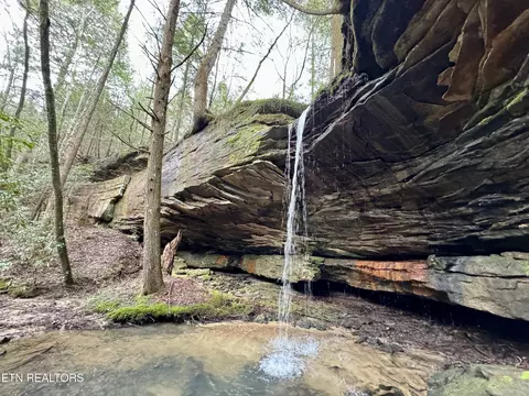 John Nitzscheke Rd, Sunbright, TN 37872 photo 3