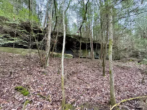 John Nitzscheke Rd, Sunbright, TN 37872 photo 32