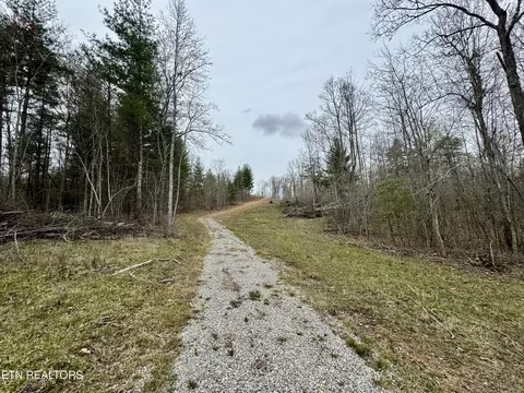 John Nitzscheke Rd, Sunbright, TN 37872 photo 44