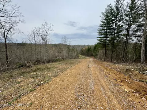 John Nitzscheke Rd, Sunbright, TN 37872 photo 43